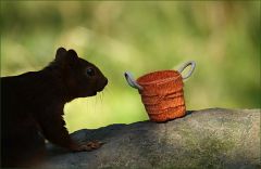 Es schaute und überlegte... Es schaute und überlegte...