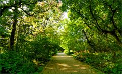 Weg im Frühherbst Weg im Frühherbst
