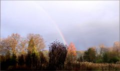 Regenbogen Regenbogen