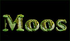 Bemoost Bemoost