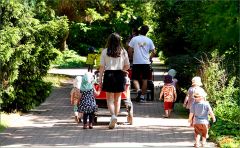 Ausflug in die Natur Ausflug in die Natur