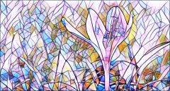 Herbstzeitlose Herbstzeitlose