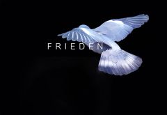 FRIEDEN 2. Entwurf FRIEDEN 2. Entwurf