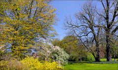 Der Frühling kommt Der Frühling kommt