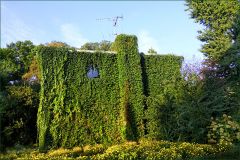 Ein Haus mit Efeu zugewachsen Ein Haus mit Efeu zugewachsen