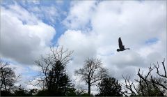 Wolken im Mai Wolken im Mai