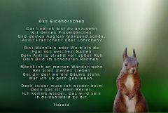 Ein Gedicht von Harald Ein Gedicht von Harald