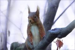 Kalter Märzmorgen Kalter Märzmorgen