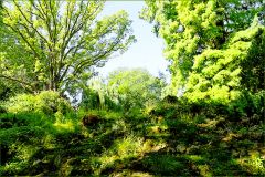 Sommerlicht Sommerlicht