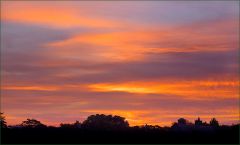 Morgenrot Ende August Morgenrot Ende August