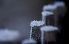 Raureif auf einem Gartenzaun Raureif auf einem Gartenzaun