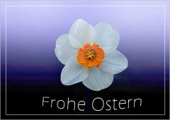 Schöne Ostertage Schöne Ostertage