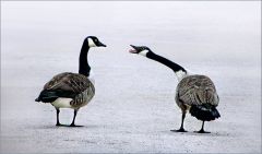 Kommunikation Kommunikation