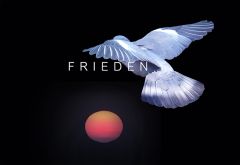 FRIEDEN 3. Entwurf FRIEDEN 3. Entwurf