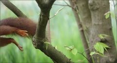 Ich war nicht schnell genug :-) Ich war nicht schnell genug :-)