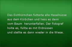 So ging es weiter So ging es weiter