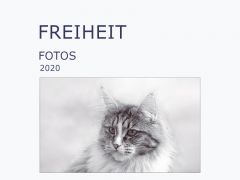 Neues Ebook / Cover Neues Ebook / Cover