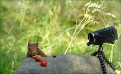 Das Frühstück ist angerichtet :-) Das Frühstück ist angerichtet :-)