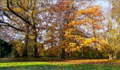 Morgensonne im Herbst