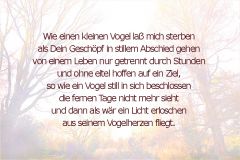 Ein Gedicht meines Großvaters - "Wie ein Vogel" Ein Gedicht meines Großvaters - "Wie ein Vogel"