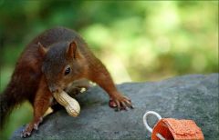 "Jetzt aber nichts wie weg." "Jetzt aber nichts wie weg."