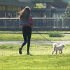 Spaziergang mit Hund
