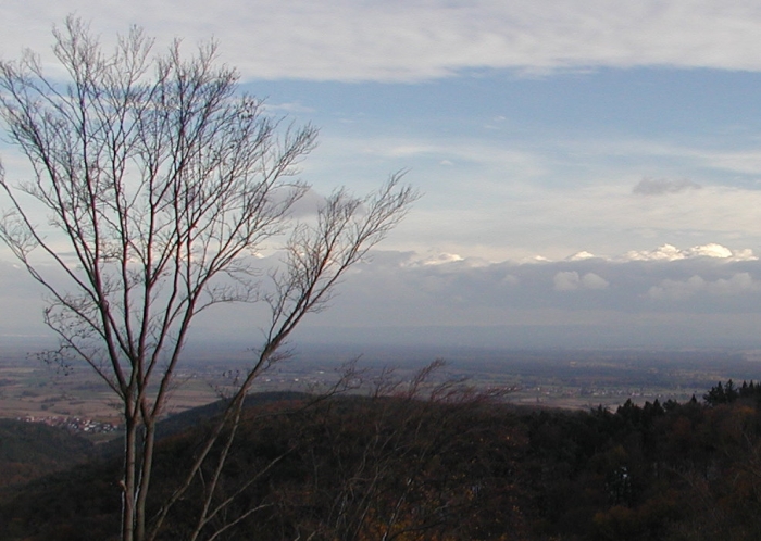 Blick in die Rheinebene