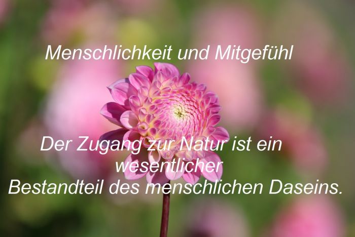 Mitgefï¿½hl und Menschlichkeit und Offenheit