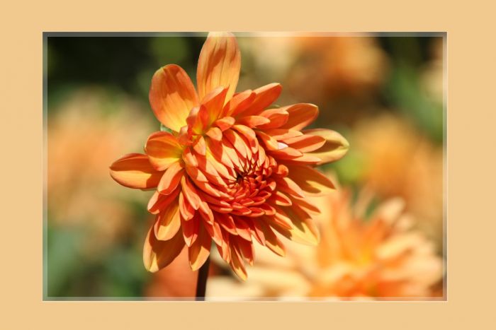 Ich wuensche allen einen guten Start 2022, passt gut auf euch auf und bleibt gesund !