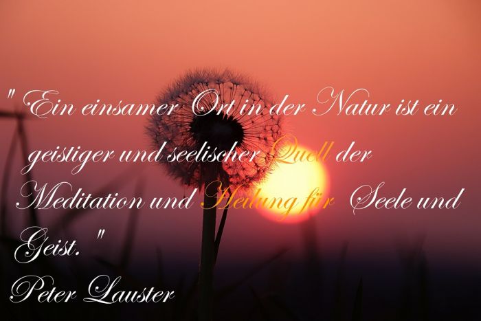 Liebe zur Natur und IndividualitÃ¤t