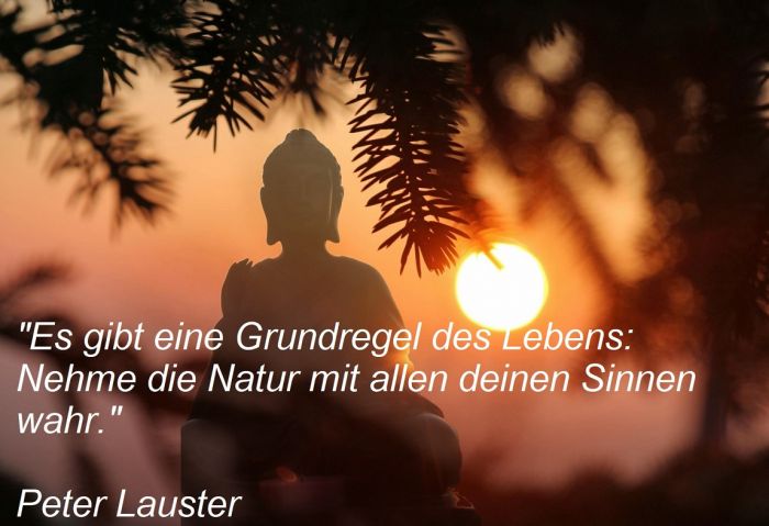 Grundregel des Lebens