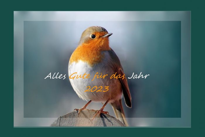 Ich wünsche allen alles Gute 2023