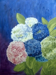 Hortensien