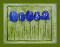 Tulpen