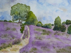 Fischbeker Heide