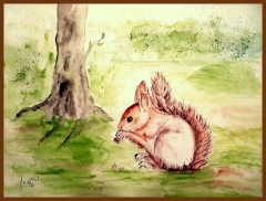 Eichhoernchen