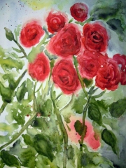 Rosen
