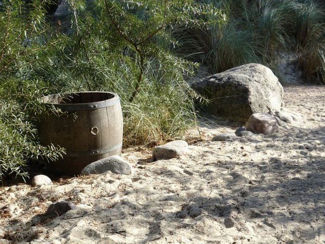 Düne im Rombergpark