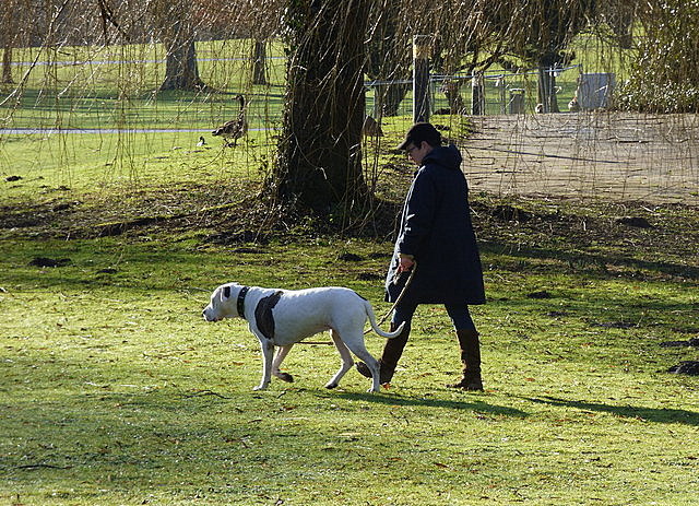 Spaziergang