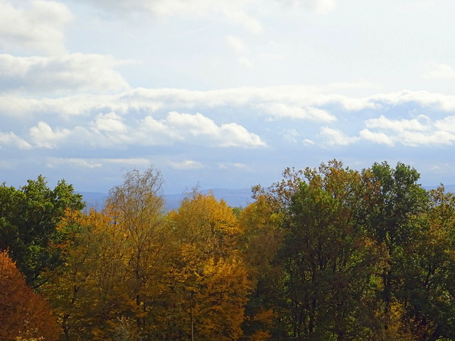 Herbstlandschaft
