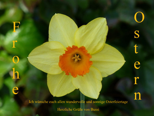 Frohe Osterfeiertage