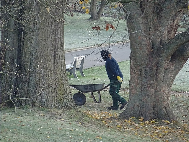 Landschaftsgärtner