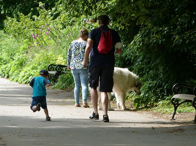 Kleines Kind stolpert