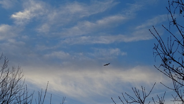 Himmel