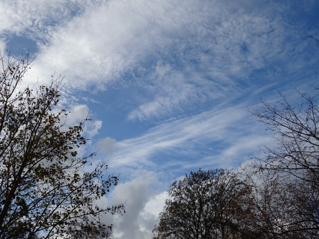 Wolken