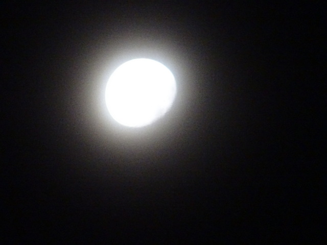 Moonlight