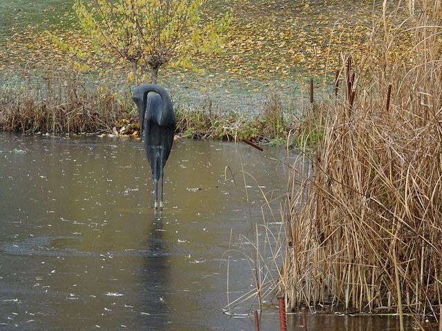 Teich zugefroren