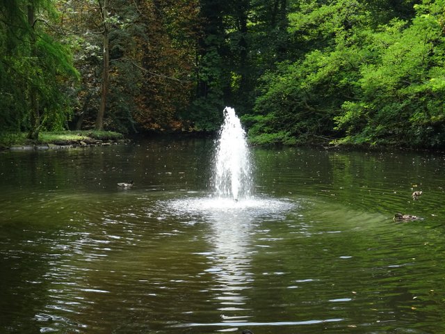 Wasserfontaine
