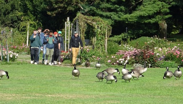 Menschen und Tiere