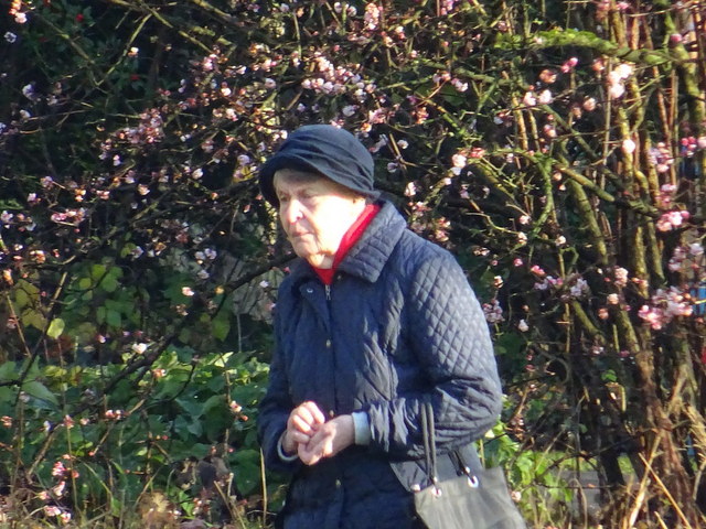Einsam